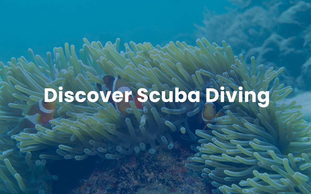Discover Scuba Diving