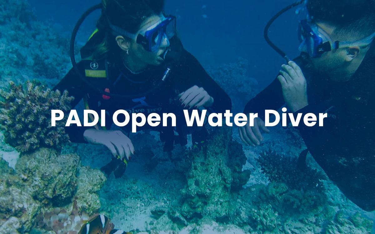 PADI Open Water Diver