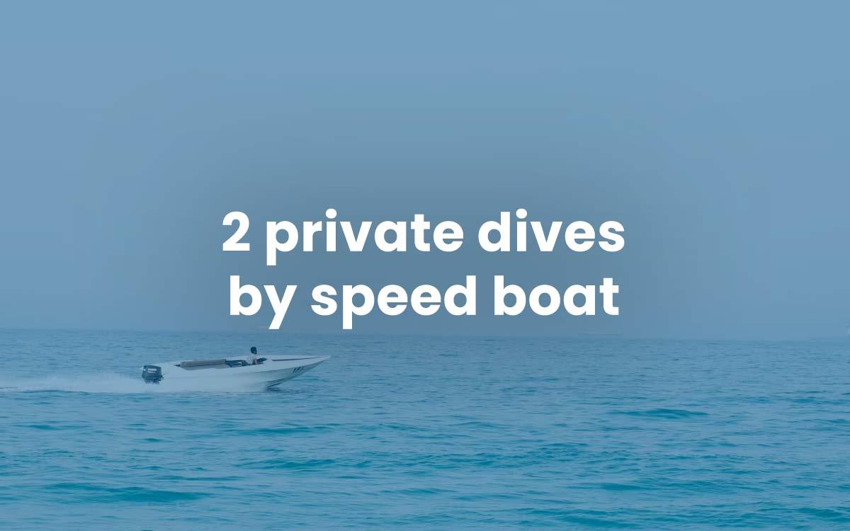 2 private dives by speed boat