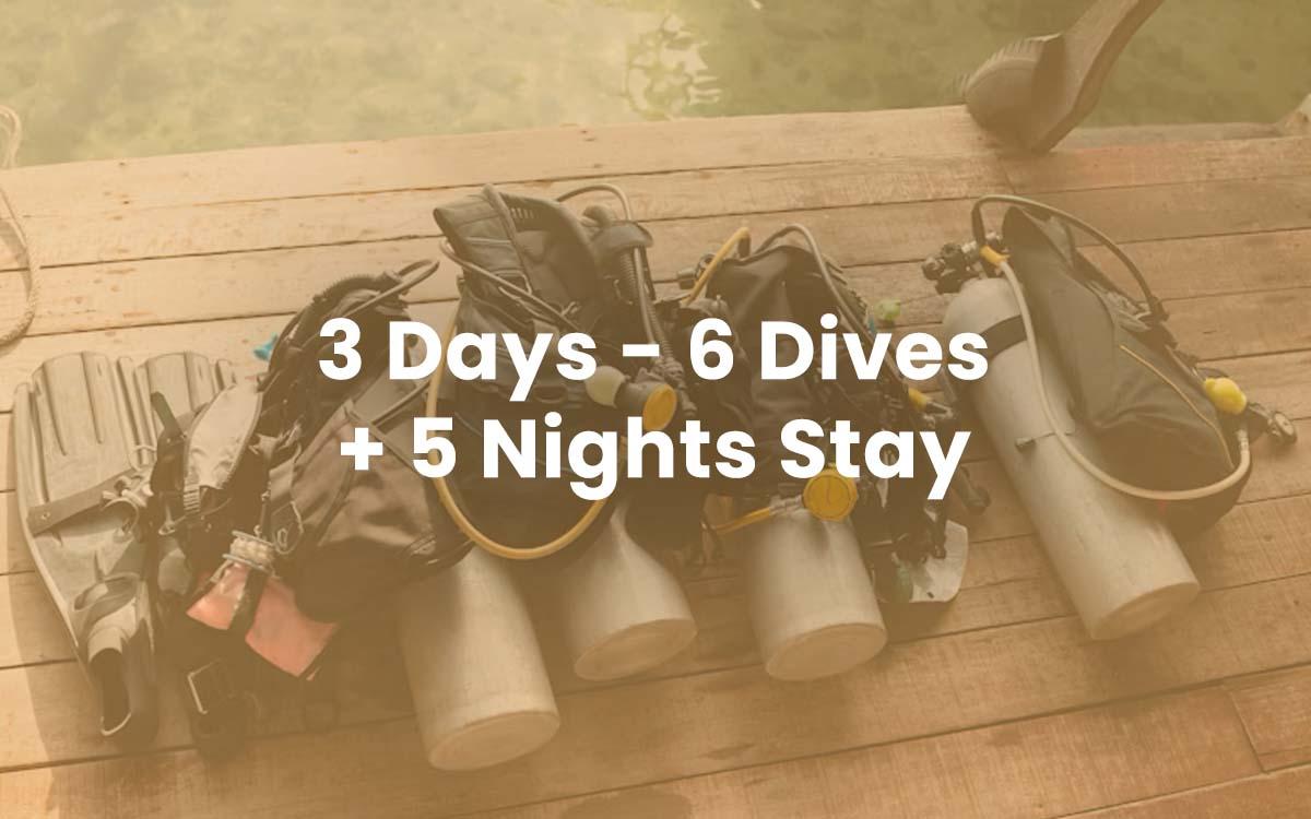 2 Days / 4 Dives + 4 Nights Stay (Copy)