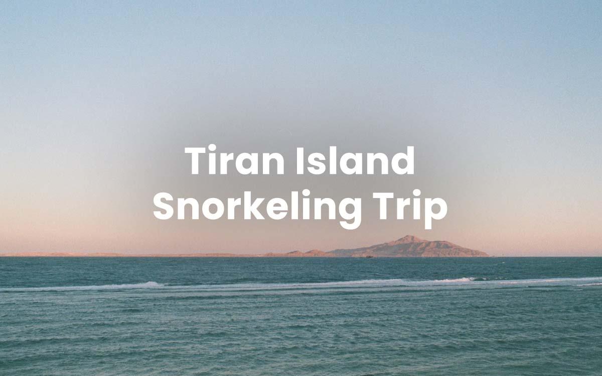 Tiran Island Snorkeling Trip