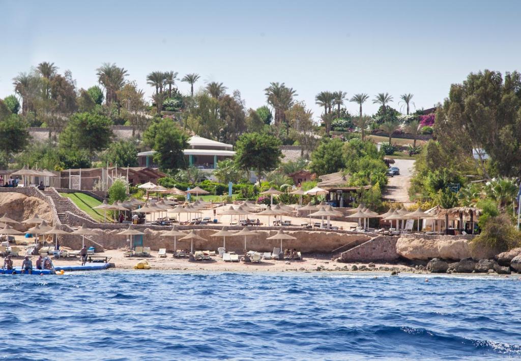 22 Days / 4 Dives + 4 Nights Stay (Copy)