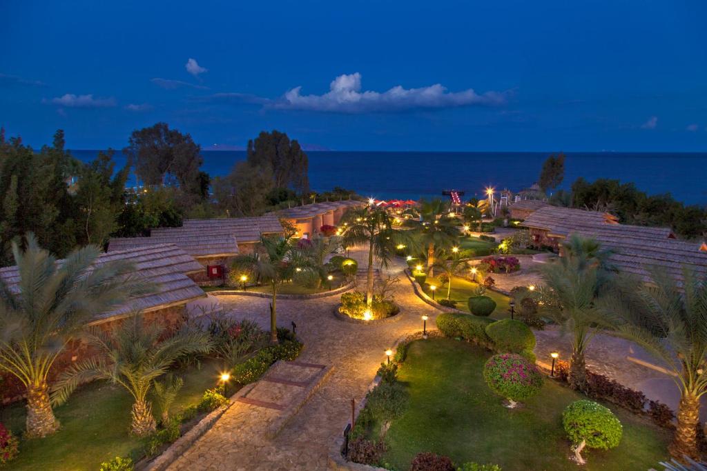 32 Days / 4 Dives + 4 Nights Stay (Copy)