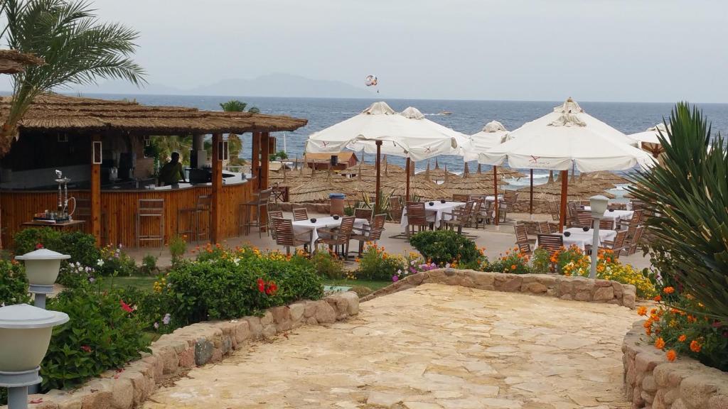 52 Days / 4 Dives + 4 Nights Stay (Copy)